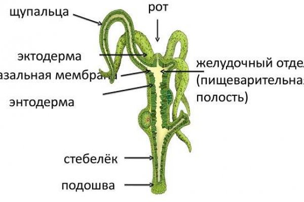 Ссылка на омгомг